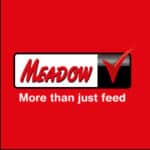 Meadow Feeds Icon